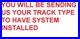 SLOT CAR TRACK 15 AFX Avail 4 OTHER HO TRACK TYPE LAP COUNTER LAP TIMER SYSTEM
